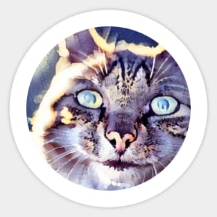 Beloved mycat, revolution for cats Sticker